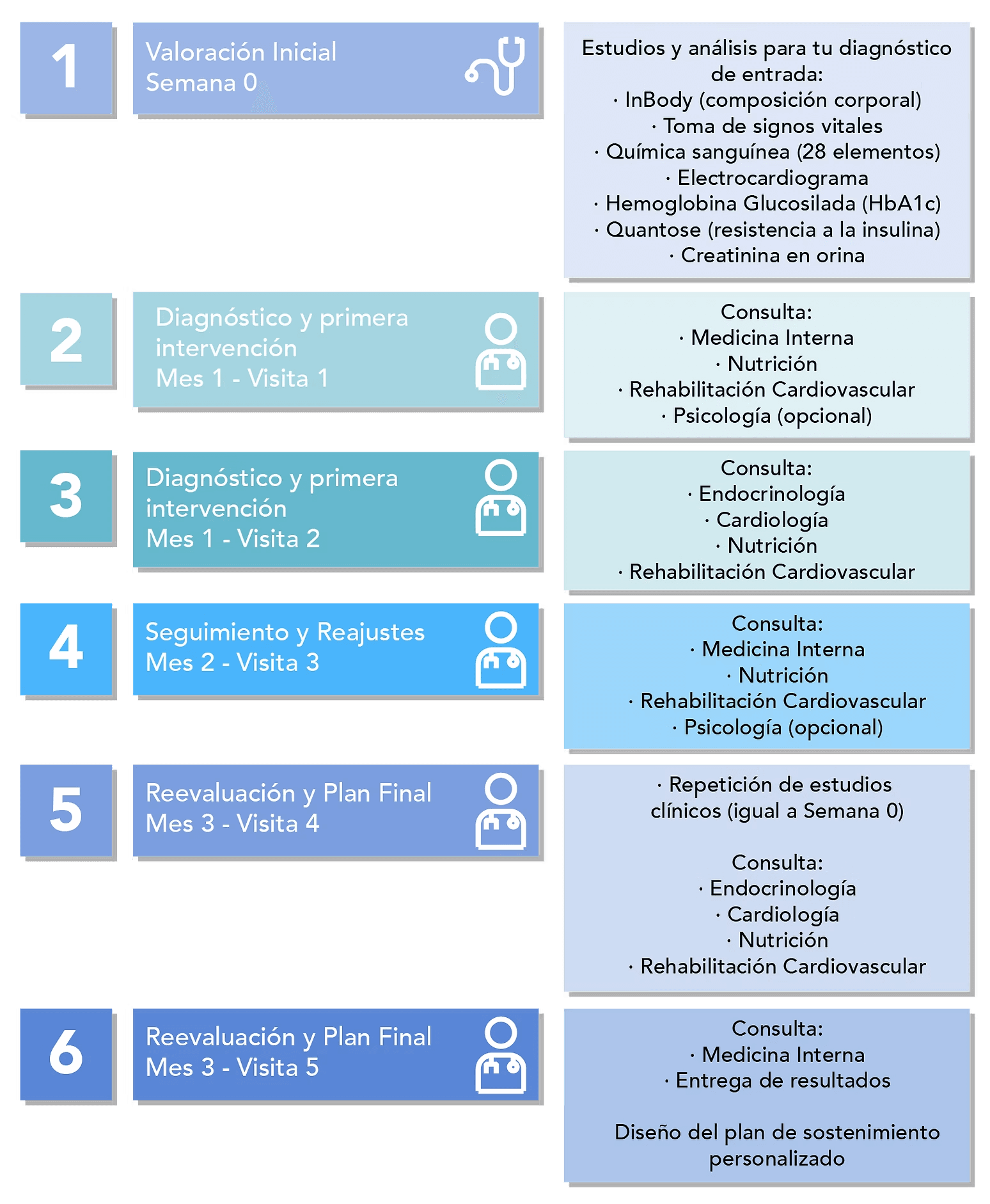 Cardiología - Circuito de tratamiento