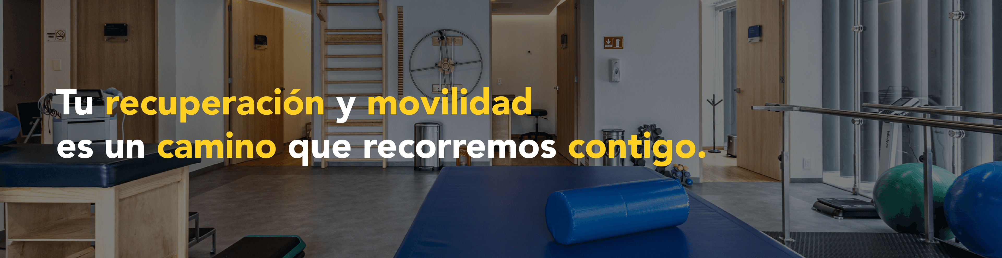 Gimnasio de Fisioterapia y Rehabilitación